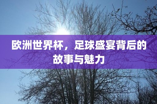 欧洲世界杯，足球盛宴背后的故事与魅力