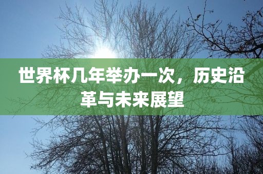 世界杯几年举办一次，历史沿革与未来展望