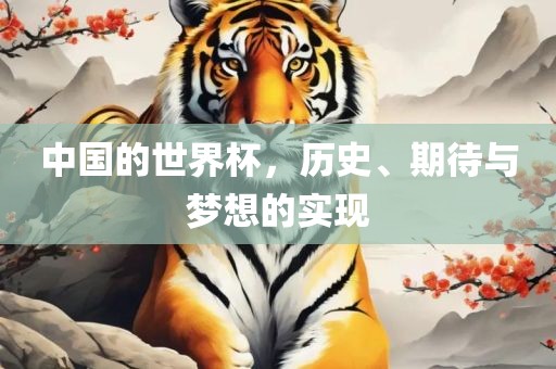 中国的世界杯，历史、期待与梦想的实现