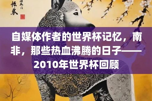 自媒体作者的世界杯记忆，南非，那些热血沸腾的日子——2010年世界杯回顾