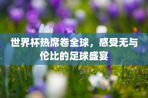 世界杯热席卷全球，感受无与伦比的足球盛宴