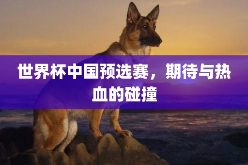 世界杯中国预选赛，期待与热血的碰撞
