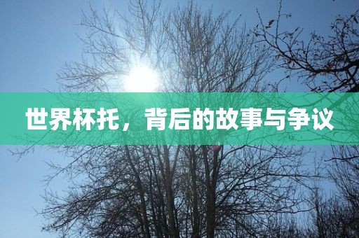 世界杯托，背后的故事与争议