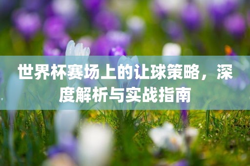 世界杯赛场上的让球策略，深度解析与实战指南