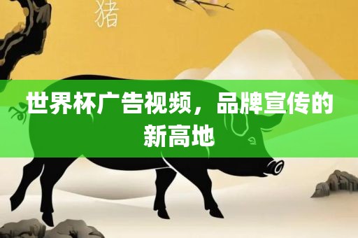 世界杯广告视频，品牌宣传的新高地