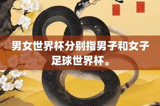 男女世界杯分别指男子和女子足球世界杯。
