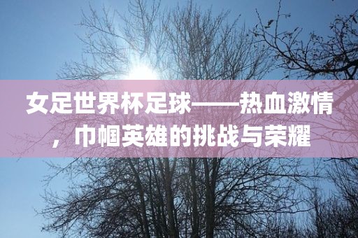 女足世界杯足球——热血激情，巾帼英雄的挑战与荣耀