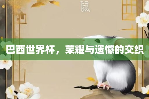 巴西世界杯，荣耀与遗憾的交织