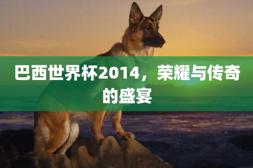 巴西世界杯2014，荣耀与传奇的盛宴