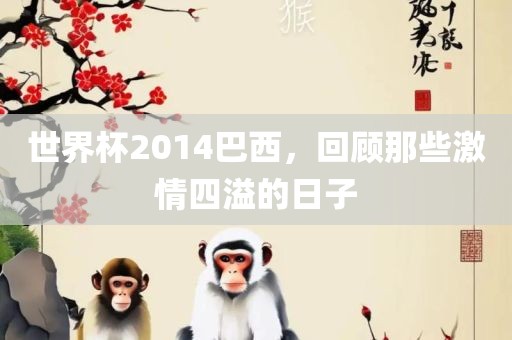 世界杯2014巴西，回顾那些激情四溢的日子