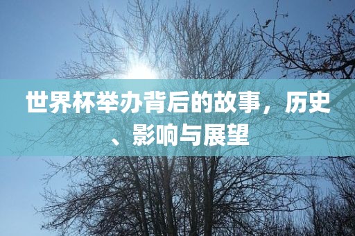 世界杯举办背后的故事，历史、影响与展望