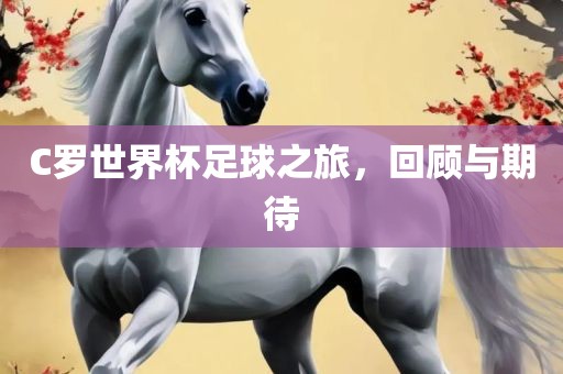 C罗世界杯足球之旅，回顾与期待