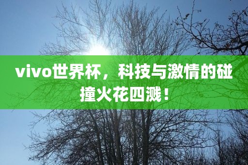vivo世界杯，科技与激情的碰撞火花四溅！