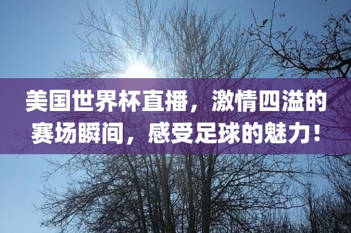 美国世界杯直播，激情四溢的赛场瞬间，感受足球的魅力！