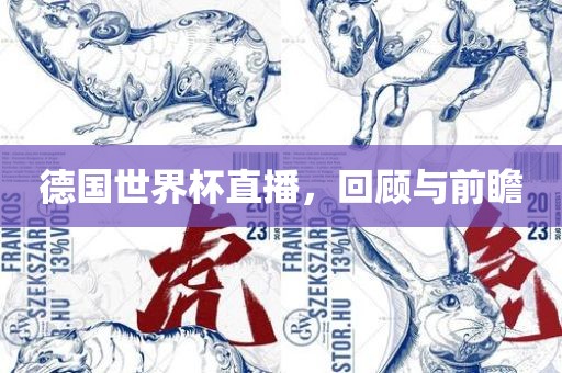 德国世界杯直播，回顾与前瞻
