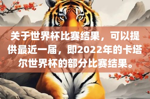 关于世界杯比赛结果，可以提供最近一届，即2022年的卡塔尔世界杯的部分比赛结果。
