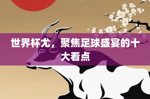 世界杯尤，聚焦足球盛宴的十大看点