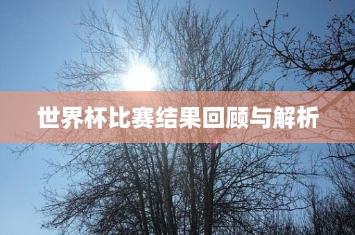 世界杯比赛结果回顾与解析洛阳市法福文化传播有限公司