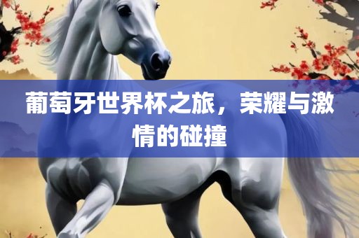 葡萄牙世界杯之旅，荣耀与激情的碰撞