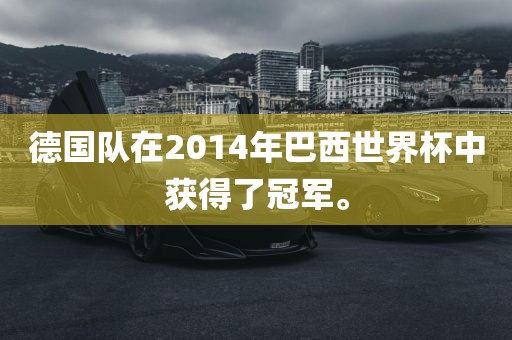 德国队在2014年巴西世界杯中获得了冠军。