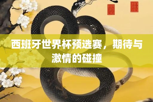 西班牙世界杯预选赛，期待与激情的碰撞