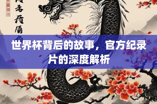 世界杯背后的故事，官方纪录片的深度解析