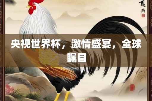 央视世界杯，激情盛宴，全球瞩目