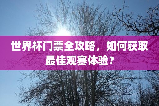 世界杯门票全攻略，如何获取最佳观赛体验？