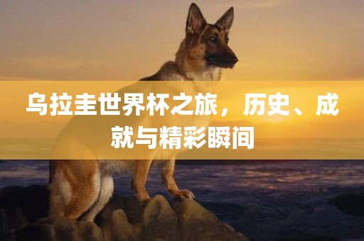 乌拉圭世界杯之旅，历史、成就与精彩瞬间
