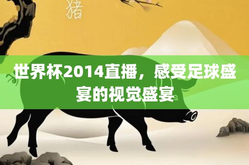 世界杯2014直播，感受足球盛宴的视觉盛宴