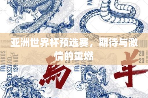 亚洲世界杯预选赛，期待与激情的重燃