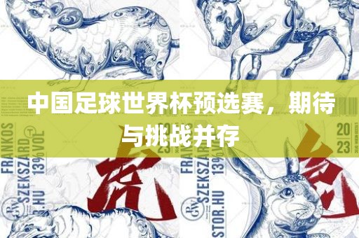 中国足球世界杯预选赛，期待与挑战并存