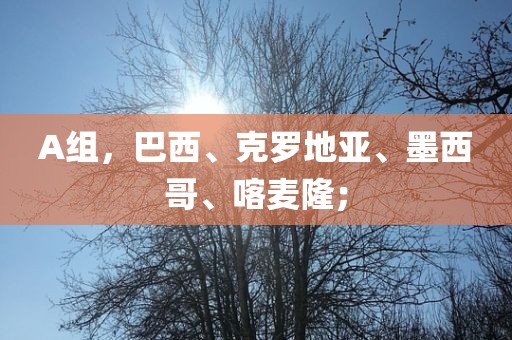 A组，巴西、克罗地亚、墨西哥、喀麦隆；