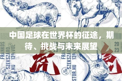 中国足球在世界杯的征途，期待、挑战与未来展望