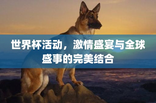 世界杯活动，激情盛宴与全球盛事的完美结合