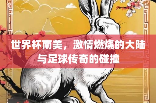 世界杯南美，激情燃烧的大陆与足球传奇的碰撞