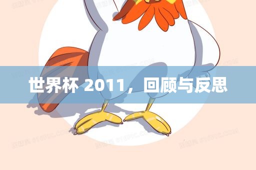 世界杯 2011，回顾与反思
