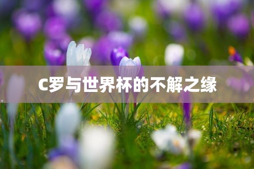 C罗与世界杯的不解之缘