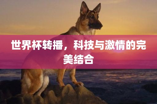 世界杯转播，科技与激情的完美结合