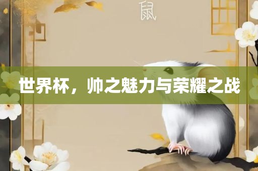 世界杯，帅之魅力与荣耀之战
