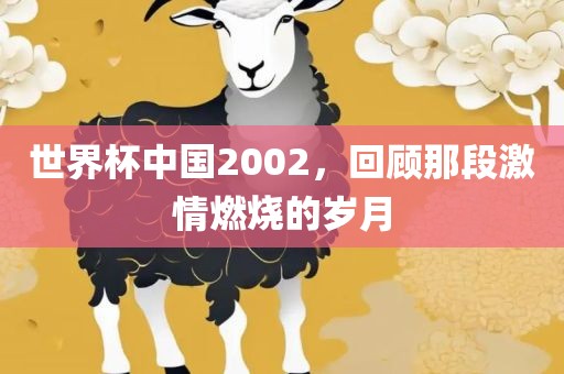 世界杯中国2002，回顾那段激情燃烧的岁月