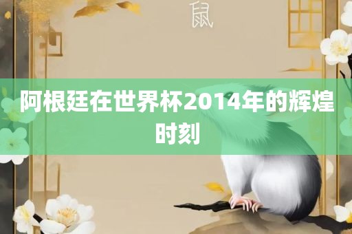 阿根廷在世界杯2014年的辉煌时刻