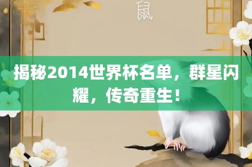 揭秘2014世界杯名单，群星闪耀，传奇重生！