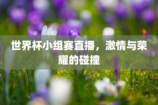 世界杯小组赛直播，激情与荣耀的碰撞
