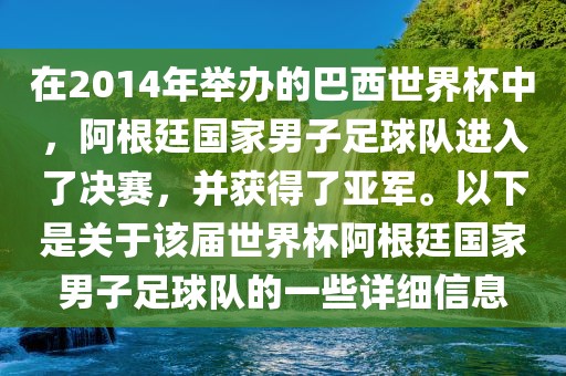 在2014年举办的巴西世界杯中，阿根廷国家男子足球队进入了决赛，并获得了亚军。以下是关于该届世界杯阿根廷国家男子足球队的一些详细信息