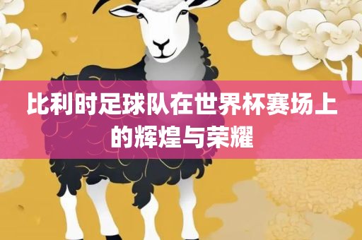 比利时足球队在世界杯赛场上的辉煌与荣耀
