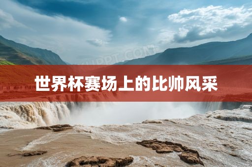世界杯赛场上的比帅风采