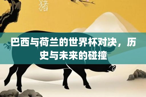 巴西与荷兰的世界杯对决，历史与未来的碰撞