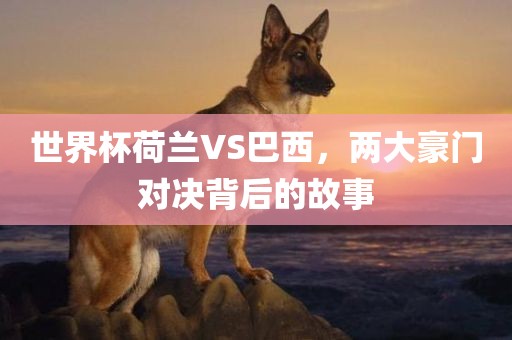 世界杯荷兰VS巴西，两大豪门对决背后的故事