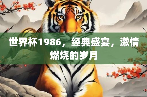 世界杯1986，经典盛宴，激情燃烧的岁月